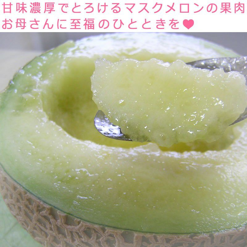 静岡マスクメロン 2玉化粧箱　母の日カーネーション付き