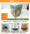 静岡マスクメロン1玉化粧箱